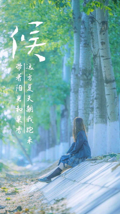 长风踏歌短剧在线观看全集  长风踏歌短剧在线观看全集，长风踏歌短剧全集在线观看--第1张