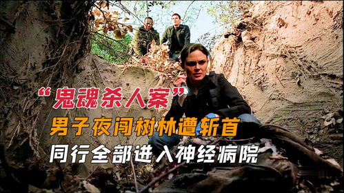 我在精神病院修战神短剧在线观看全集  ，我在精神病院修战神短剧，在线观看全集，精神病院修战神短剧在线观看，一部充满惊喜的治愈系短剧--第1张