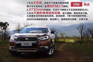 ds是什么品牌的汽车_ds是什么品牌的汽车型号--第1张