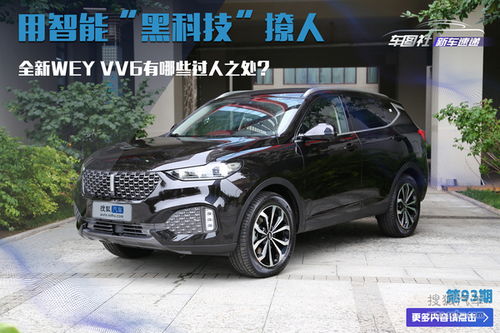 weyvv6_WEYVV6多少钱--第1张