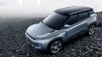 吉利2020年新款suv_吉利2020年新款车保养灯归零视频--第1张