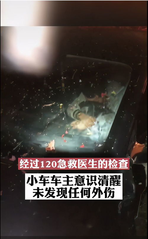 被校花撞飞后我苟成了世界首富短剧在线观看全集  被校花撞飞后我苟成了世界首富短剧在线观看全集，被校花撞飞后我苟成了世界首富短剧在线观看全集，重生首富--第1张