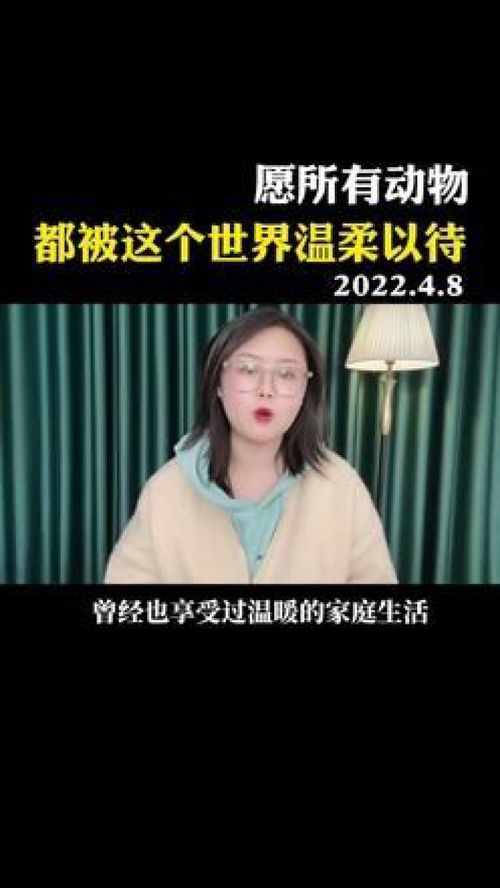 世界对我温柔以待短剧在线观看全集  世界对我温柔以待短剧在线观看全集--第1张