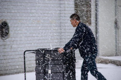 雪落下的声音短剧在线观看全集  雪落下的声音短剧在线观看全集--第1张