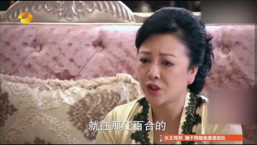 仇少妻子的秘密短剧在线观看全集  仇少妻子的秘密短剧在线观看全集，仇少妻子的秘密短剧在线观看全集，揭开妻子神秘面纱--第1张