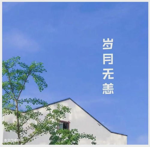 时光静待花开短剧在线观看全集  时光静待花开短剧在线观看全集，时光静待花开短剧在线观看全集，花开时刻，静待时光的美好--第1张