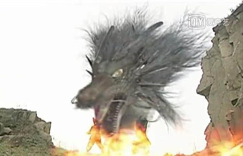 水火龙珠短剧在线观看全集  水火龙珠短剧在线观看全集--第1张