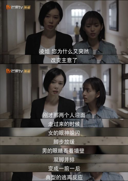 总裁夫人的反攻手册钟熙短剧在线观看全集  总裁夫人的反攻手册，钟熙短剧在线观看全集，总裁夫人的反攻手册，钟熙短剧在线观看全集，总裁夫人的反攻之路--第1张