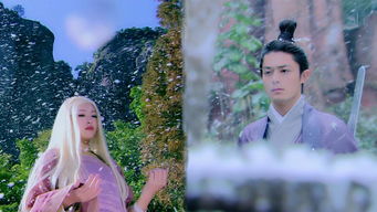 君少别虐了夫人才是你的白月光短剧在线观看全集  君少，别虐了夫人，才是你的白月光短剧在线观看全集--第1张