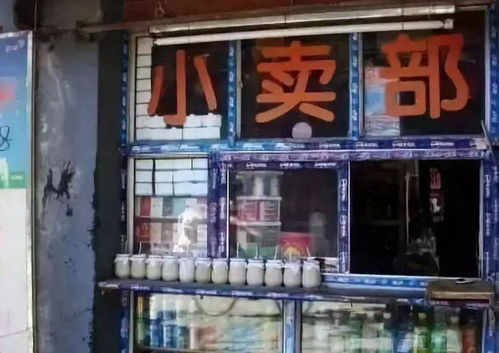 我的小卖铺神级小卖铺短剧在线观看全集  我的小卖铺神级小卖铺短剧在线观看全集，神级小卖铺，全集观看--第1张