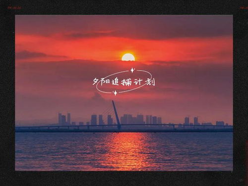 与你共赴的黄昏短剧在线观看全集  与你共赴的黄昏短剧在线观看全集，与你共赴的黄昏短剧在线观看，浪漫爱情之旅--第1张