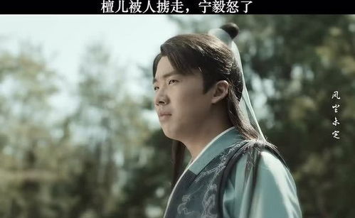 赘婿李大龙大结局视频播放_赘婿大刀--第1张