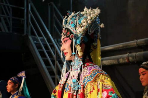 贵妃娘娘性别男短剧在线观看全集  贵妃娘娘性别男短剧在线观看全集--第1张