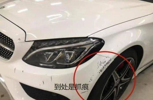 惹上叶少别想逃短剧在线观看全集  惹上叶少别想逃短剧在线观看全集--第1张