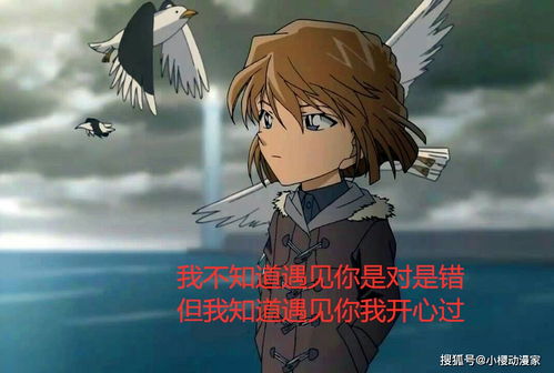 青空之上卷恋风短剧在线观看全集  青空之上卷恋风短剧在线观看全集--第1张