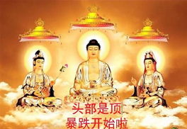 圣医女皇短剧在线观看全集  圣医女皇短剧在线观看全集，圣医女皇短剧在线观看全集，一部神秘而引人入胜的古装剧--第1张