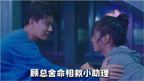 顾总的潜逃罪妻短剧在线观看全集  顾总的潜逃罪妻短剧在线观看全集，顾总的潜逃罪妻在线观看，罪妻的逃亡之路--第1张