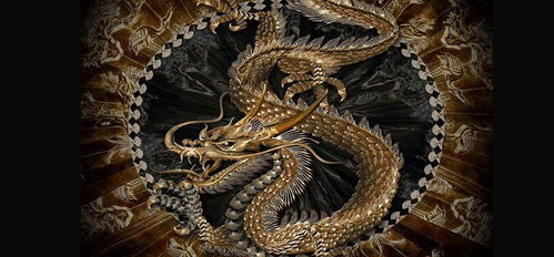 我以真龙降世短剧在线观看  我以真龙降世短剧在线观看，真龙降世，龙影传奇--第1张