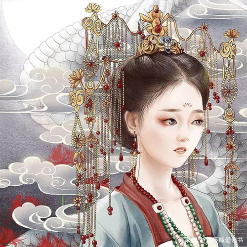 救命医女弃妇竟是长公主短剧在线观看  救命医女弃妇竟是长公主短剧在线观看--第1张