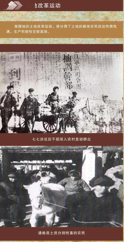 风起江州短剧在线观看  风起江州，一部短剧在线观看，风起江州，一部引人入胜的短剧在线观看--第1张