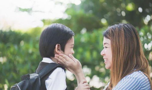 请回答重生妈咪的救赎人生短剧在线观看  重生妈咪的救赎人生短剧在线观看，重生妈咪的救赎人生，短剧在线观看--第1张