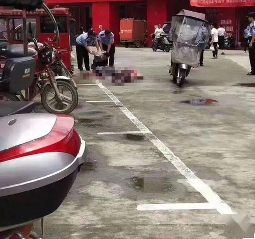 离婚后陆总跪着求原谅短剧在线观看  离婚后陆总跪着求原谅短剧在线观看--第1张