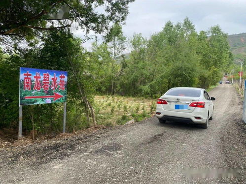 不要招惹舒小姐短剧在线观看  ，不要招惹舒小姐短剧在线观看，不要招惹舒小姐，短剧在线观看--第1张