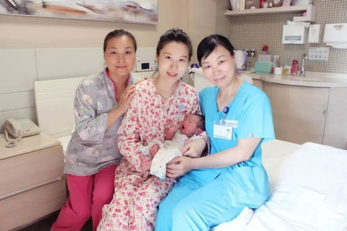 一胎二宝离婚前老婆重生了短剧在线观看  一胎二宝离婚前老婆重生了，一胎二宝离婚前老婆重生了短剧在线观看，一胎二宝离婚前，老婆重生了--第1张