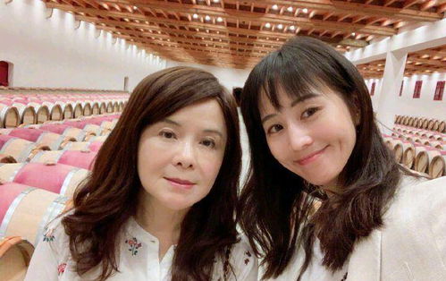 温柔柳甯短剧在线观看  温柔柳甯短剧在线观看，温柔柳甯短剧在线观看之爱情故事--第1张