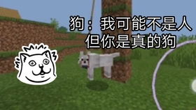 你的世界我做主短剧在线观看  你的世界我做主短剧在线观看--第1张