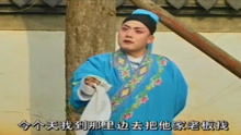 百灵典当铺短剧在线观看  百灵典当铺短剧在线观看，百灵典当铺短剧在线观看，当爱成为典当的唯一理由--第1张
