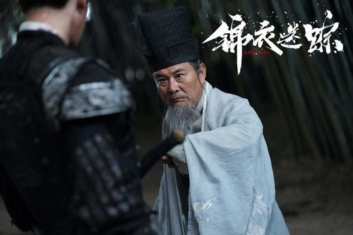 锦衣回乡短剧在线观看  锦衣回乡短剧在线观看，锦衣回乡短剧在线观看，一部引人入胜的古装短剧--第1张