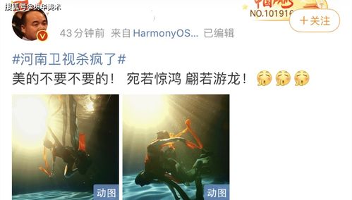 离婚后她带六宝惊艳全球短剧在线观看  离婚后她带六宝惊艳全球短剧在线观看--第1张