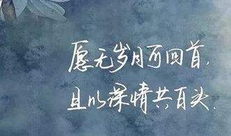 以我深情祭岁月短剧在线观看  以我深情祭岁月短剧在线观看，岁月深情，以我深情祭岁月--第1张
