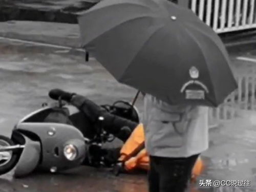 L外卖小哥变大佬短剧在线观看  L外卖小哥变大佬短剧在线观看--第1张