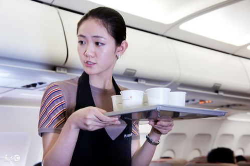 我的空姐老婆短剧在线观看  我的空姐老婆短剧在线观看--第1张