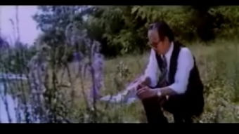 晚风倾情旧人归短剧在线观看  晚风倾情旧人归短剧在线观看，晚风旧人归，短剧在线观看--第1张