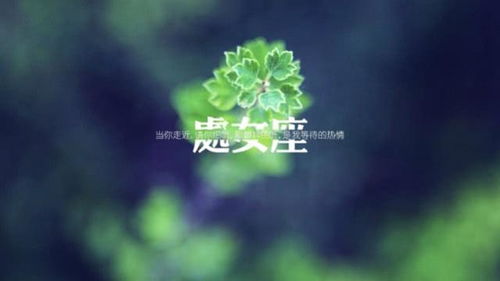 陆总小心点致命马甲要掉了一不小心结错婚短剧在线观看  陆总小心点，致命马甲要掉了！一不小心结错婚，短剧在线观看--第1张