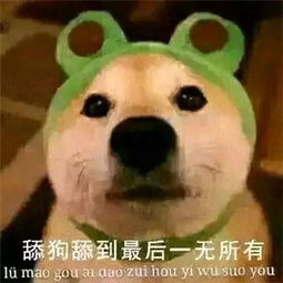 我再也不想恋爱了我有九千万亿舔狗金短剧在线观看  我再也不想恋爱了，我有九千万亿舔狗金短剧在线观看，九千万亿舔狗金短剧，再也不谈恋爱的无奈选择--第1张
