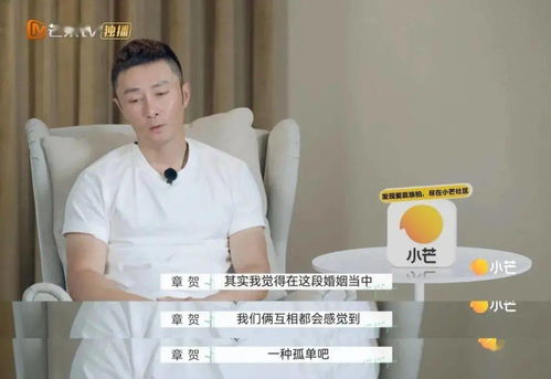 再见爱人短剧在线观看  再见爱人短剧在线观看，再见爱人短剧在线观看，婚姻的归途--第1张