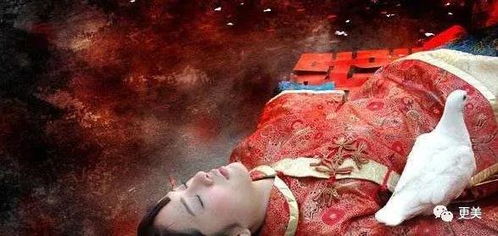 落花洞女的传说短剧在线观看  落花洞女的传说短剧在线观看，落花洞女的传说，神秘短剧在线观看--第1张
