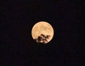 当时明月在钟熙短剧在线观看  当时明月在钟熙短剧在线观看--第1张