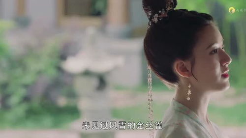 涅槃千金短剧在线观看  涅槃千金短剧在线观看，涅槃千金短剧在线观看，一部引人入胜的短篇故事--第1张
