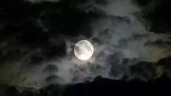 云遮不见月徐徐短剧在线观看  云遮不见月，徐徐短剧在线观看--第1张
