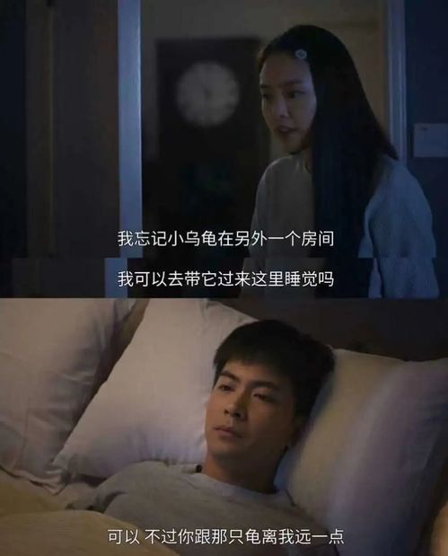先婚后爱之亡夫归来短剧在线观看  先婚后爱之亡夫归来短剧在线观看--第1张