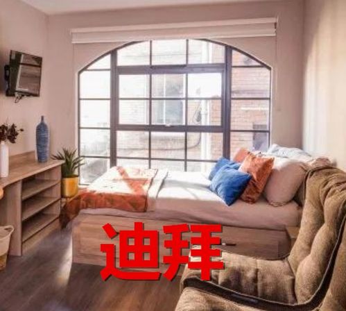 舍我其谁短剧在线观看  舍我其谁短剧在线观看--第1张