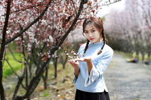 墨染梨花白白方文短剧在线观看  墨染梨花白白方文短剧在线观看，墨染梨花，白白方文短剧在线观看--第1张