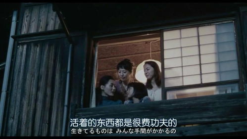 墨少的隐藏罪妻短剧在线观看  墨少的隐藏罪妻短剧在线观看--第1张