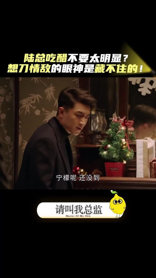 陆总别想逃短剧在线观看  陆总别想逃短剧在线观看--第1张