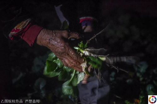 我叫郝多余天选幸运儿神级豪婿郝多余短剧在线观看  我叫郝多余，天选幸运儿，神级豪婿，我是短剧在线观看的热门人物--第1张